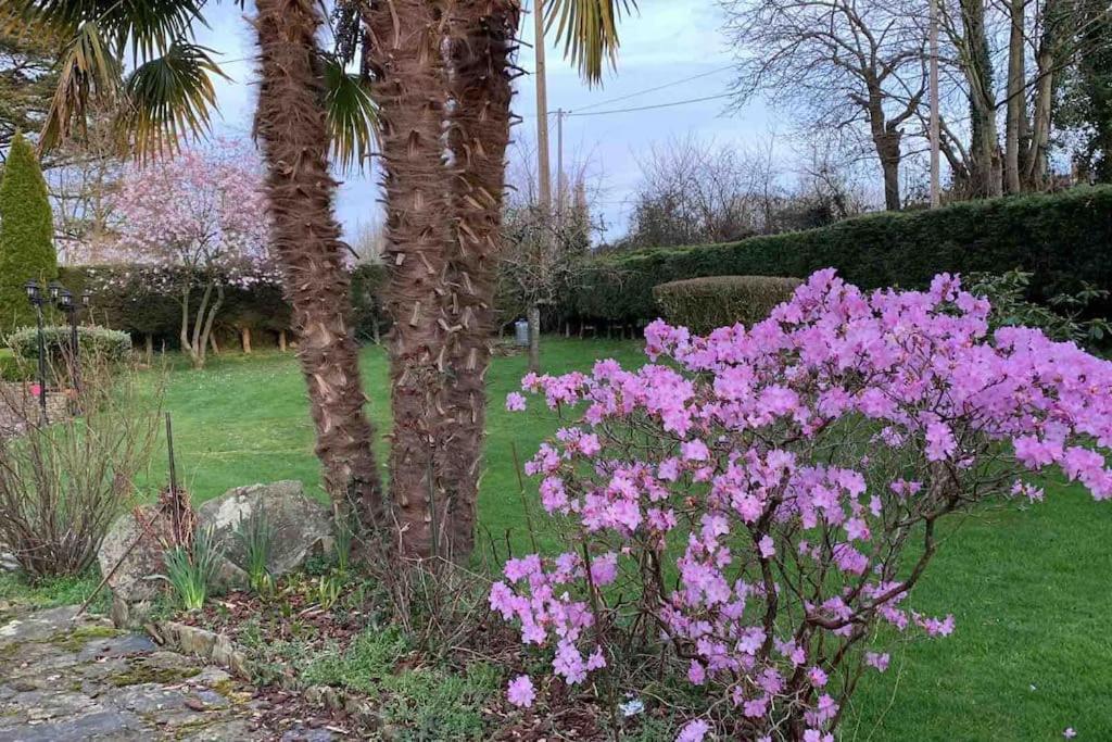 Le Nalousie Villa Livry  Kültér fotó